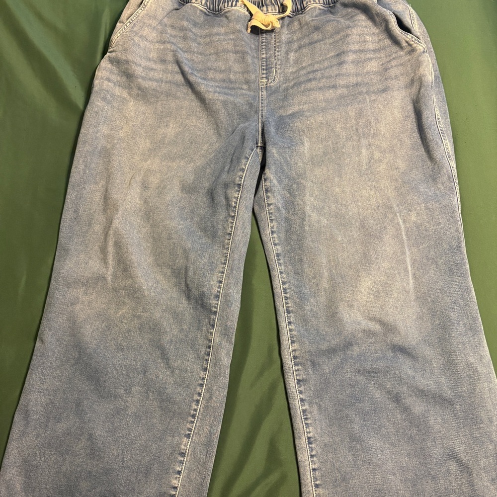 Lane Bryant high-rise pull on wide leg jeans
